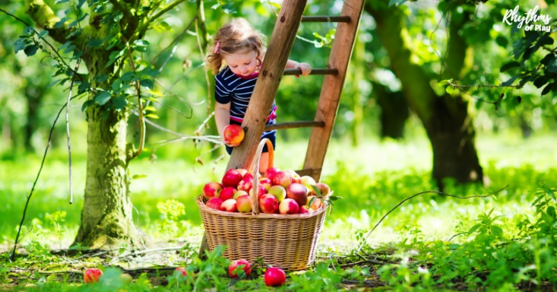 Pre-schooler: Health, Diet and Physical Development